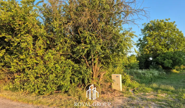 Działka rolna Lublin Węglinek, ul. Zygmunta Krasińskiego