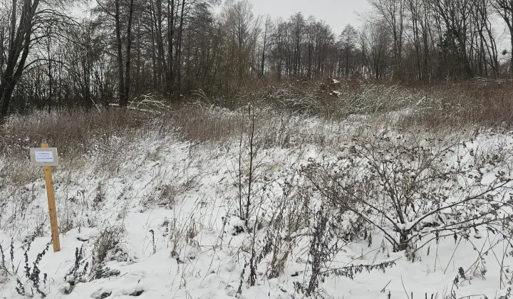 Działka rekreacyjna Dobki