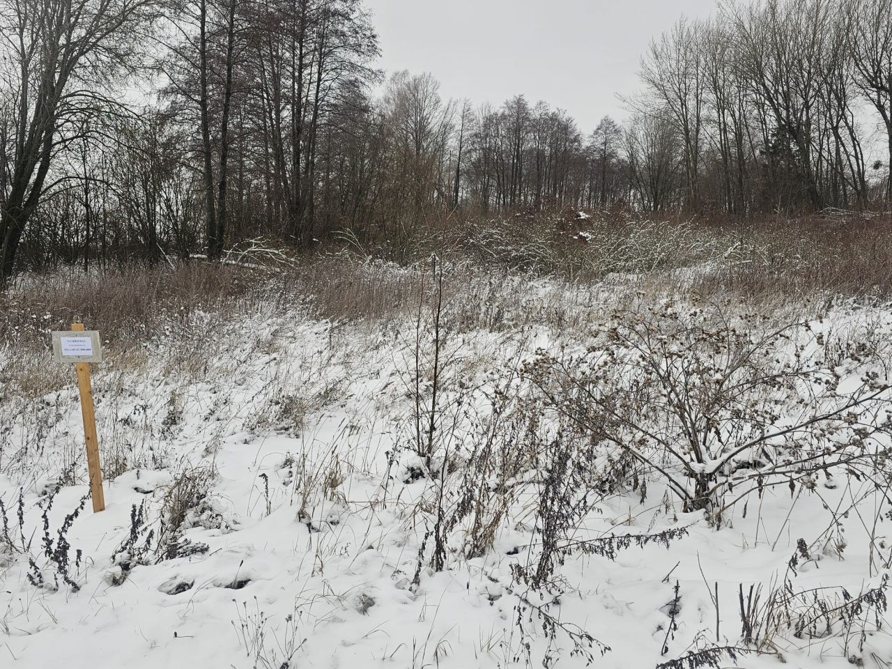 Działka rekreacyjna Dobki