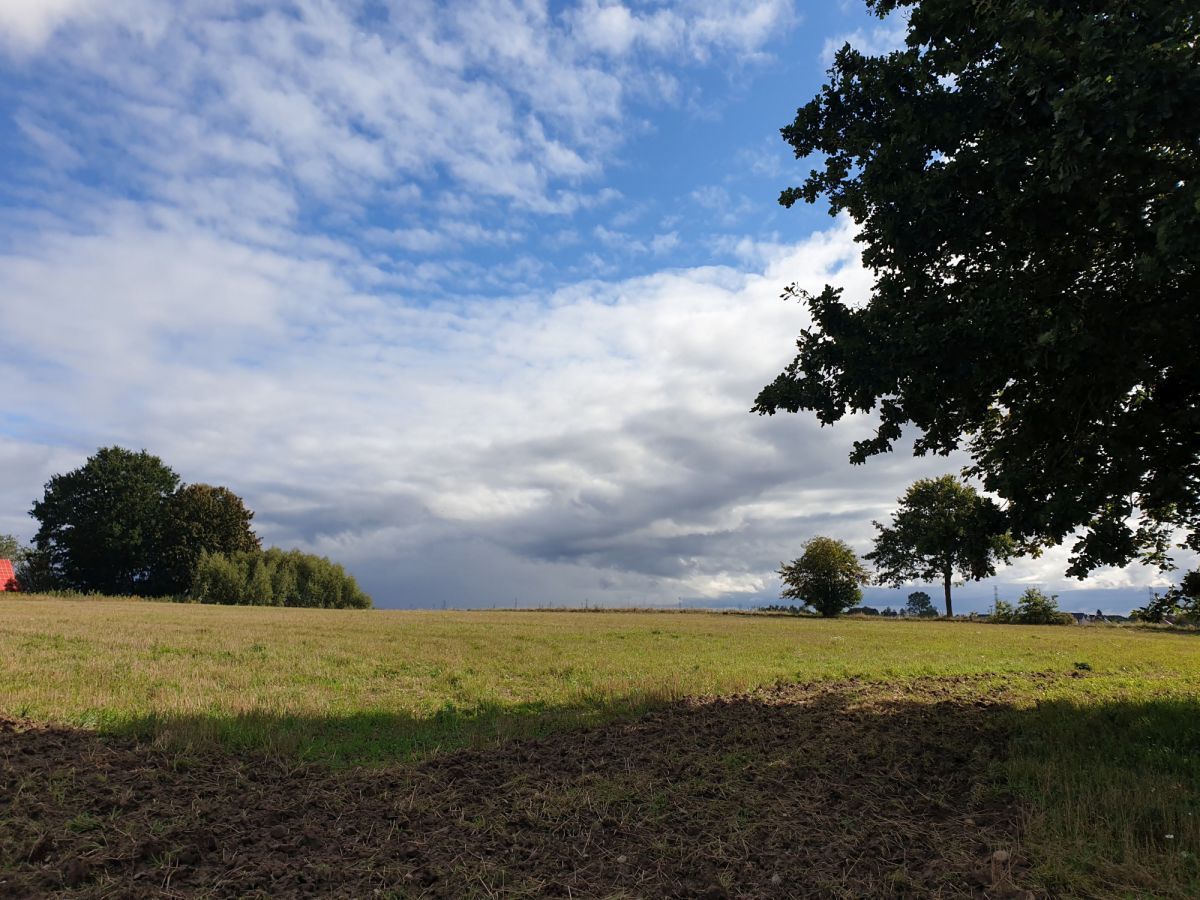 Działka budowlana Przyjaźń, ul. Łąkowa. Zdjęcie 2