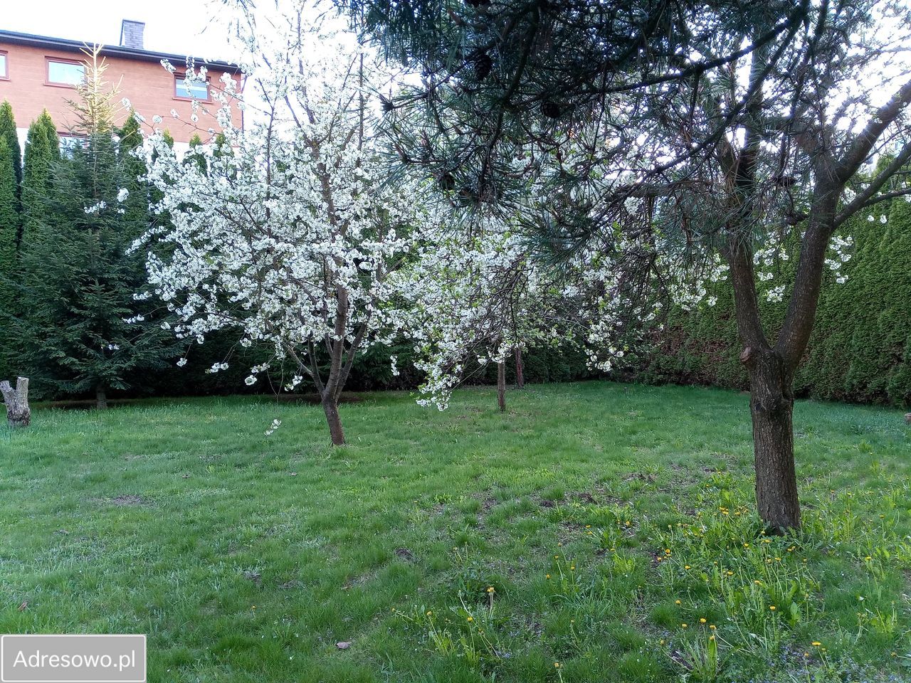 Działka budowlana Lublin Szerokie, ul. Strumykowa. Zdjęcie 8