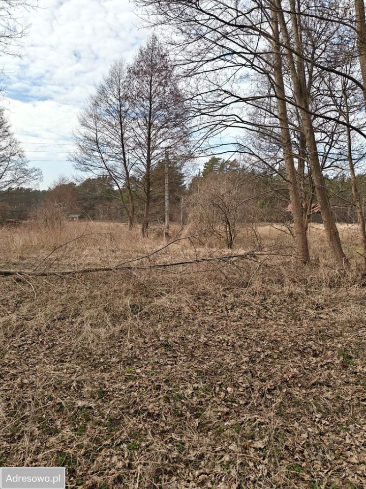 Działka rolna Górnica. Zdjęcie 3