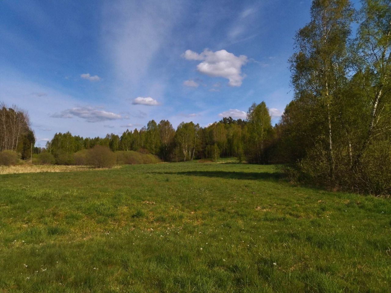 Działka budowlana Wielimowo. Zdjęcie 15