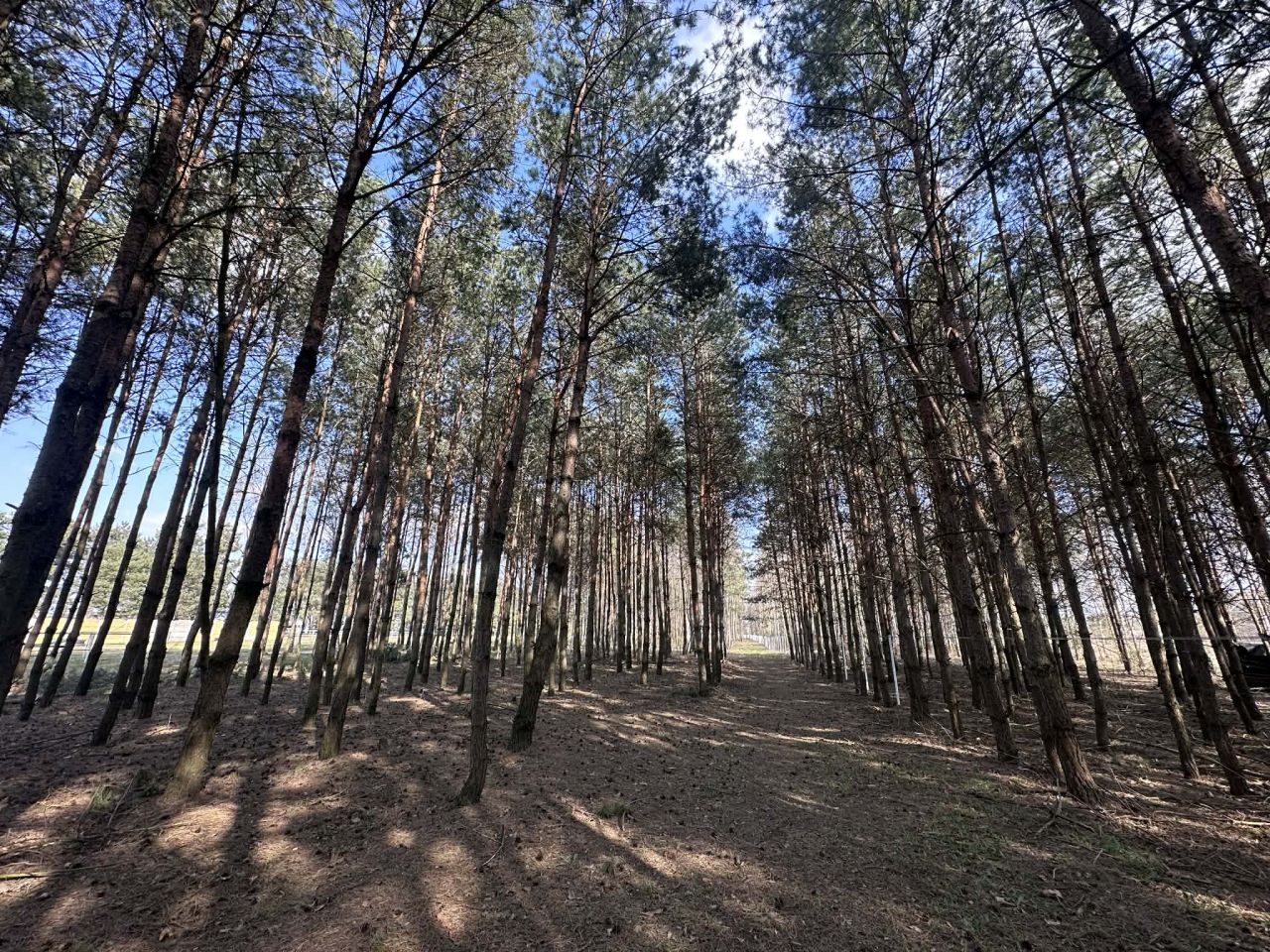 dom wolnostojący, 5 pokoi Chylin. Zdjęcie 32