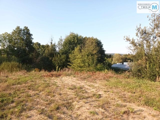 Działka rekreacyjna Bieliny. Zdjęcie 16