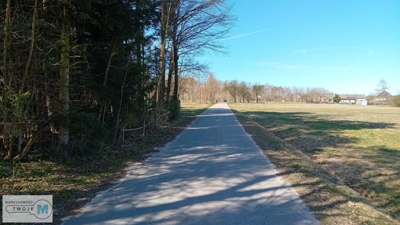 Działka leśna Korczyn. Zdjęcie 7