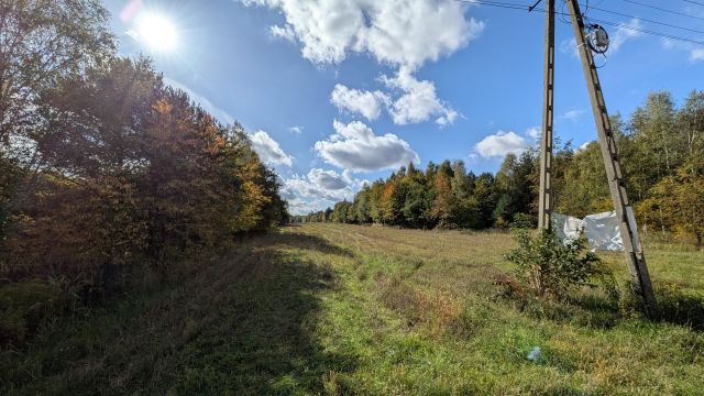 Działka rolno-budowlana Jedle, Pogodna. Zdjęcie 3