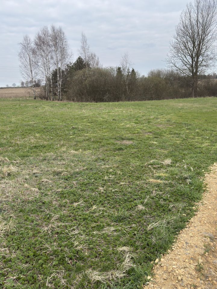 Działka budowlana Kosówka. Zdjęcie 3