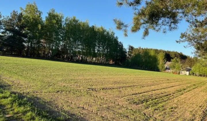 Działka budowlana Krogule