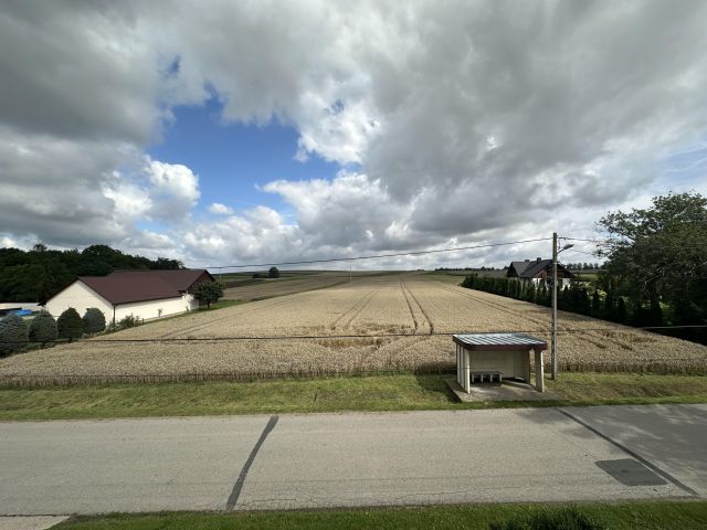 Działka budowlana Prandocin-Iły. Zdjęcie 1