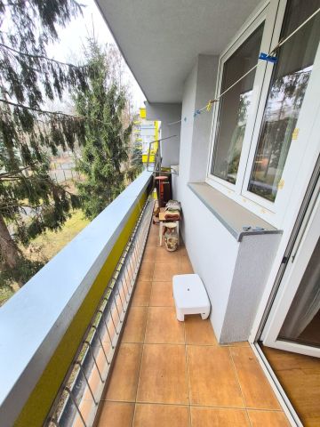 Mieszkanie 3-pokojowe Wrocław Popowice, ul. Białowieska. Zdjęcie 3