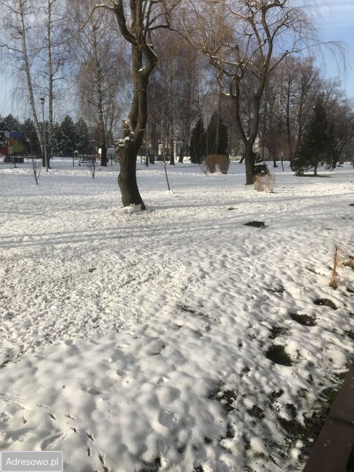 Mieszkanie 1-pokojowe Bielsko-Biała, ul. Podchorążych. Zdjęcie 5