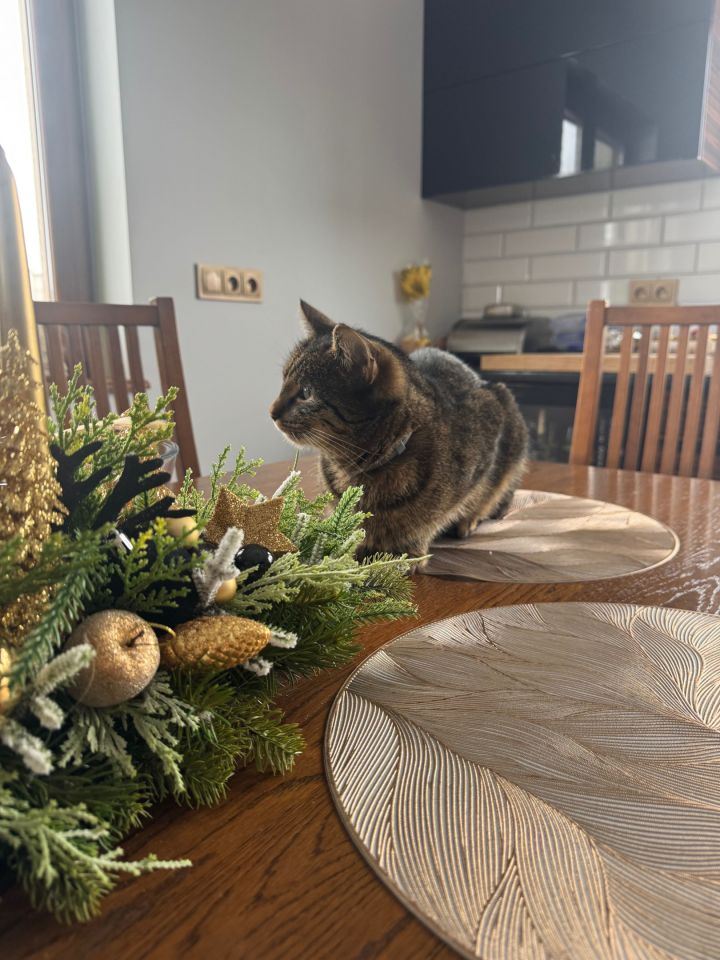 dom wolnostojący Kalisz. Zdjęcie 7