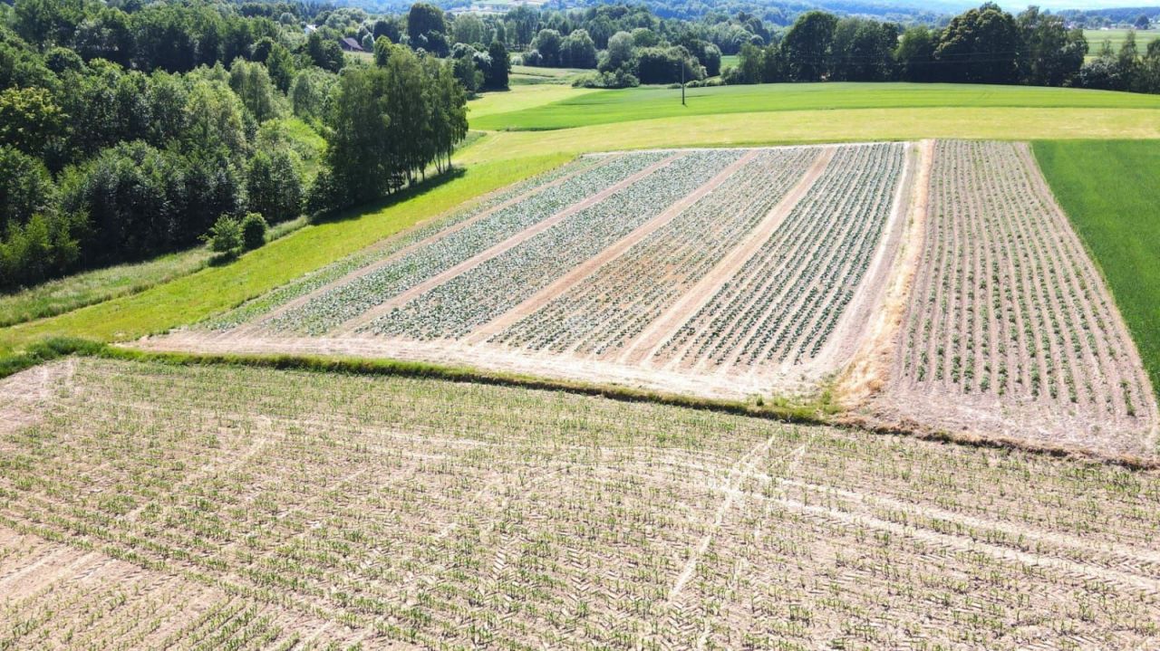 Działka budowlana Łąkta Dolna. Zdjęcie 7