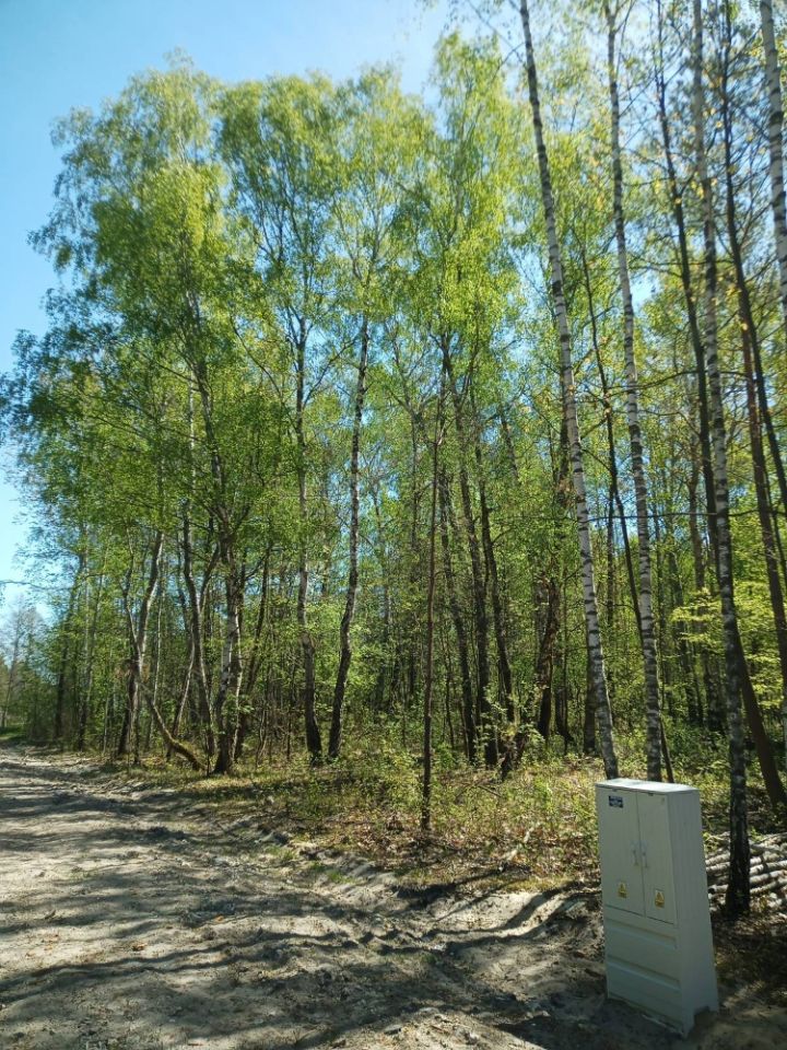 Działka budowlana Grabina. Zdjęcie 5