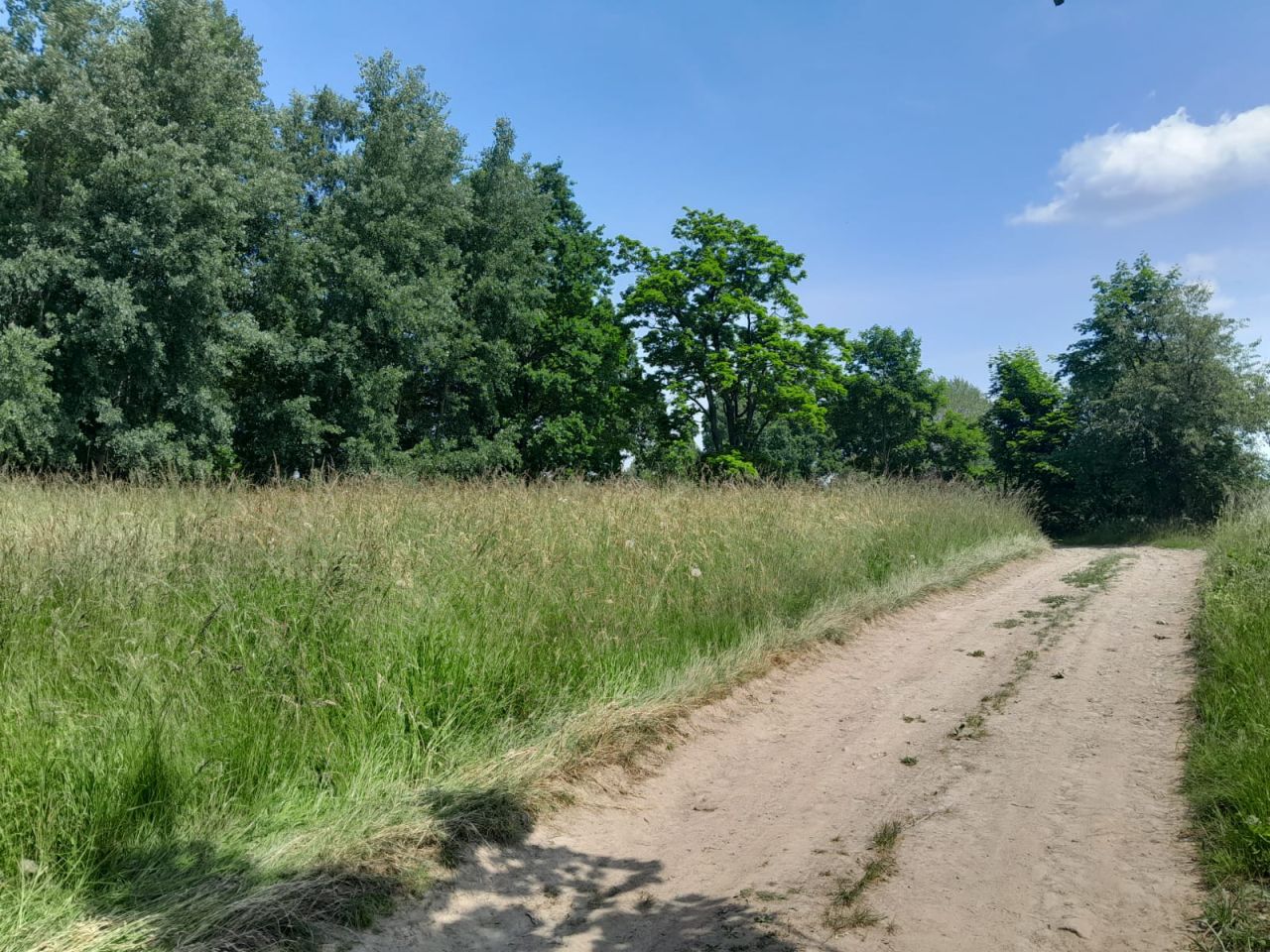 Działka budowlana Starkówek. Zdjęcie 6