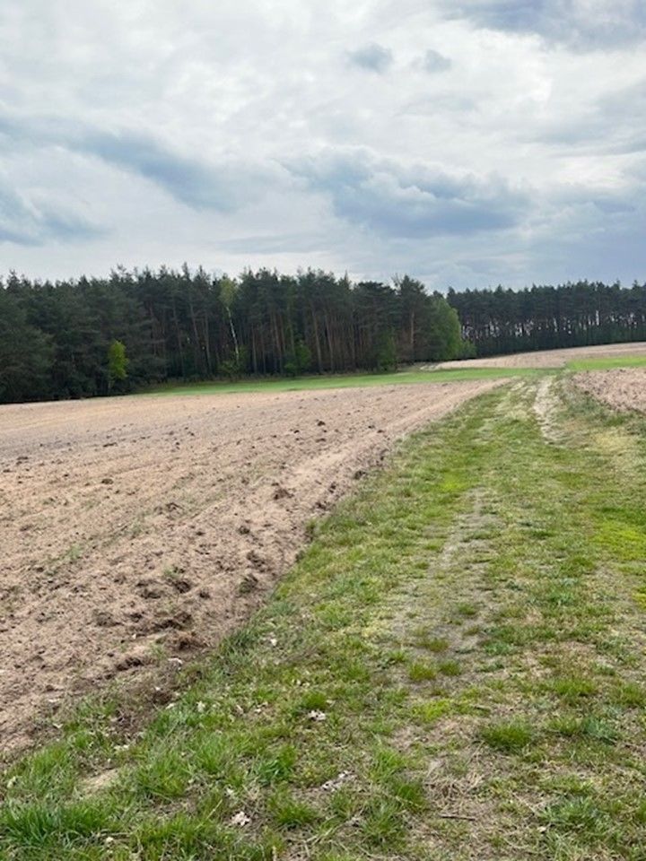 Działka siedliskowa Wierzbinek. Zdjęcie 4