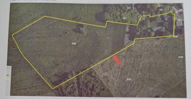 Działka rolna Zbrodzice. Zdjęcie 1