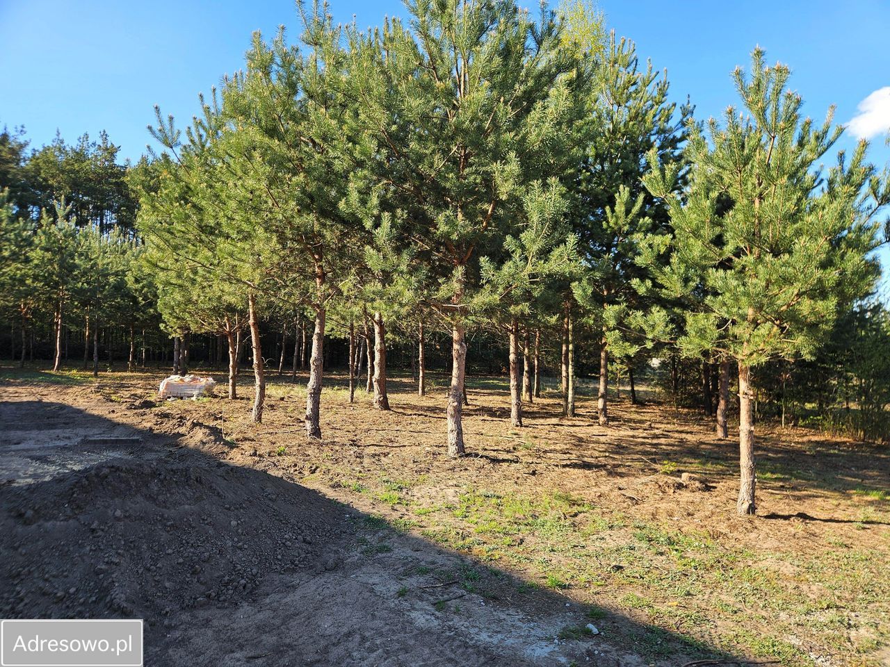 Działka budowlana Tomaszów Mazowiecki Podoba, ul. Torowa. Zdjęcie 6