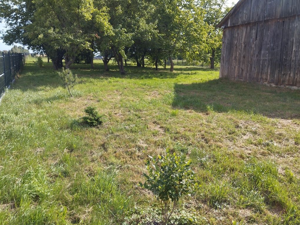 siedlisko, 3 pokoje Stara Wieś. Zdjęcie 4