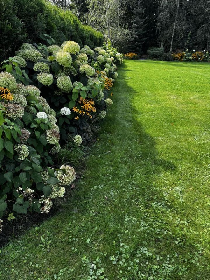 Działka budowlana Górki Wielkie, ul. Szpotawicka. Zdjęcie 8