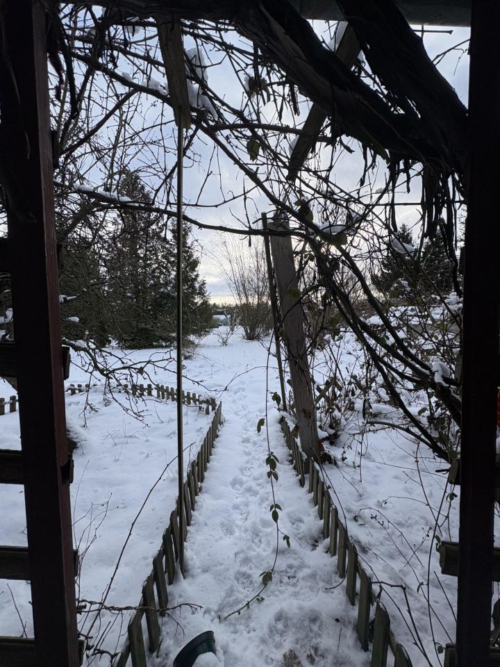 Działka rod Sulechów, ul. Gajowa. Zdjęcie 4