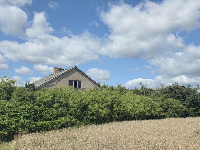 Działka siedliskowa Ossówka. Zdjęcie 1