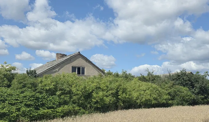 Działka siedliskowa Ossówka