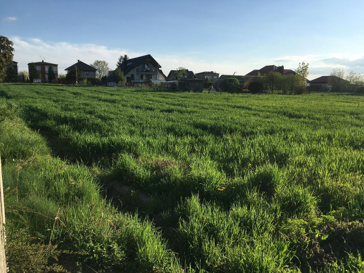 Działka rolno-budowlana Milejów, ul. Lipowa. Zdjęcie 3