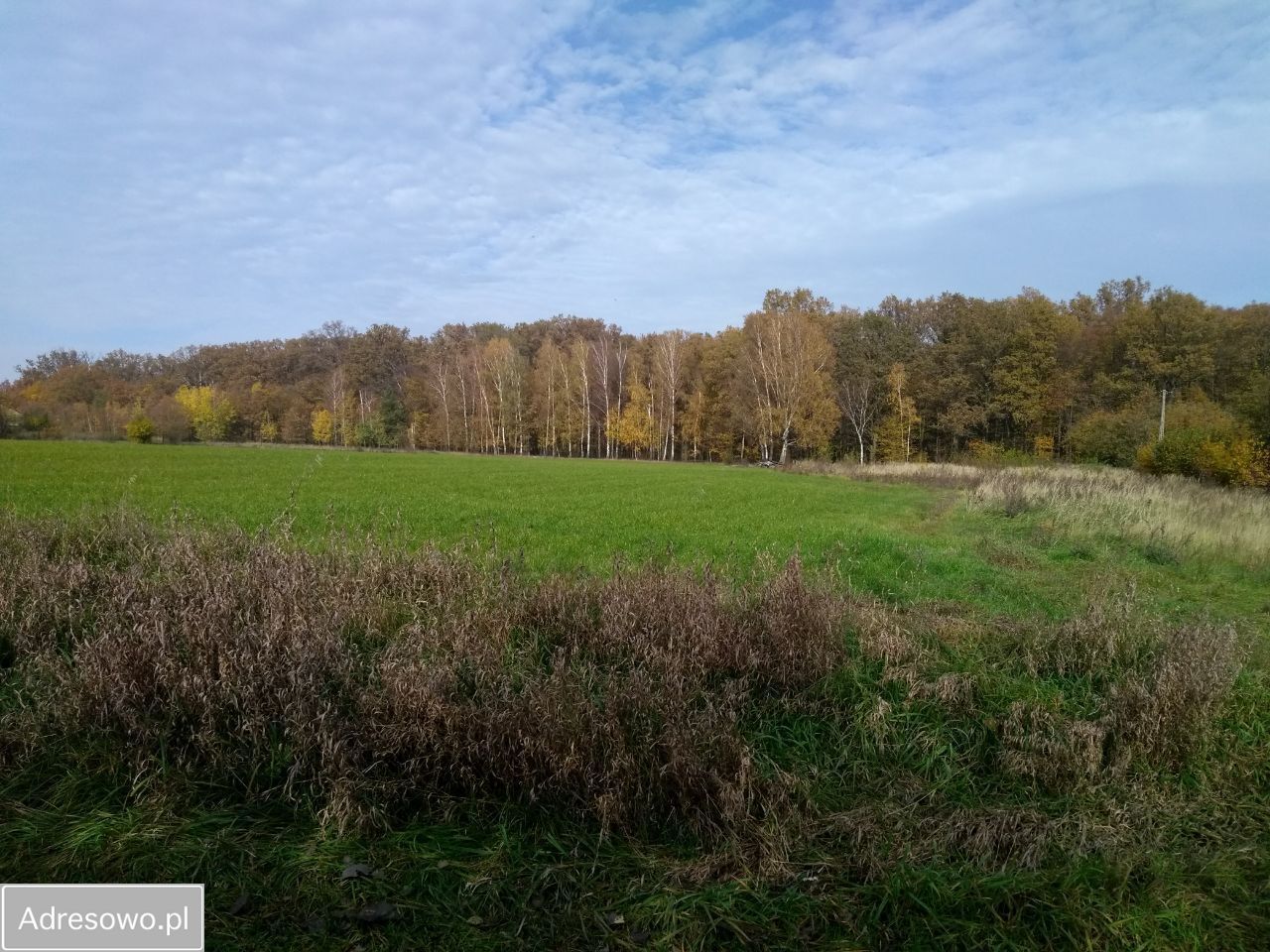 Działka budowlana Radziwiłłów. Zdjęcie 9