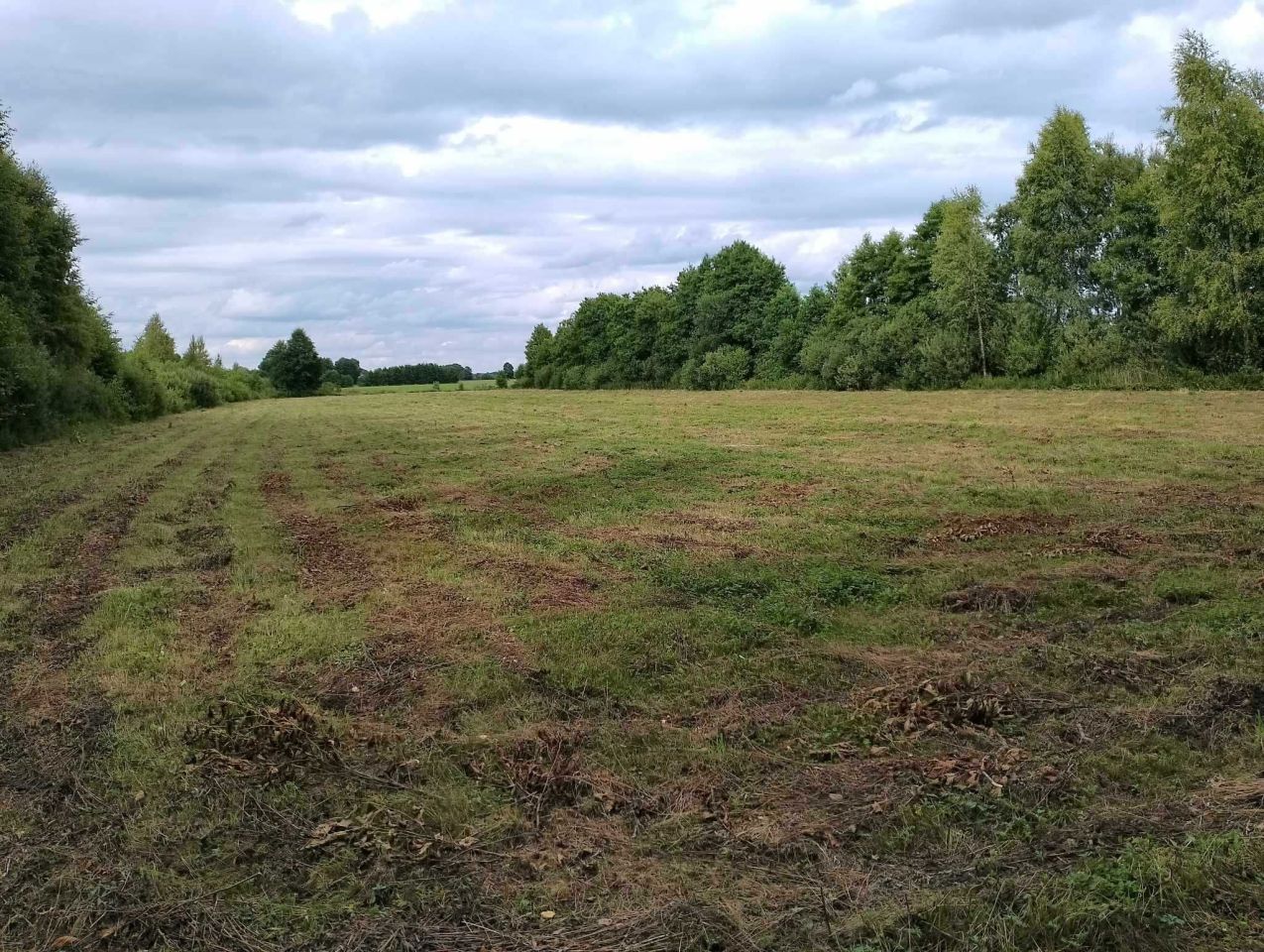 Działka rolna Tartak. Zdjęcie 3