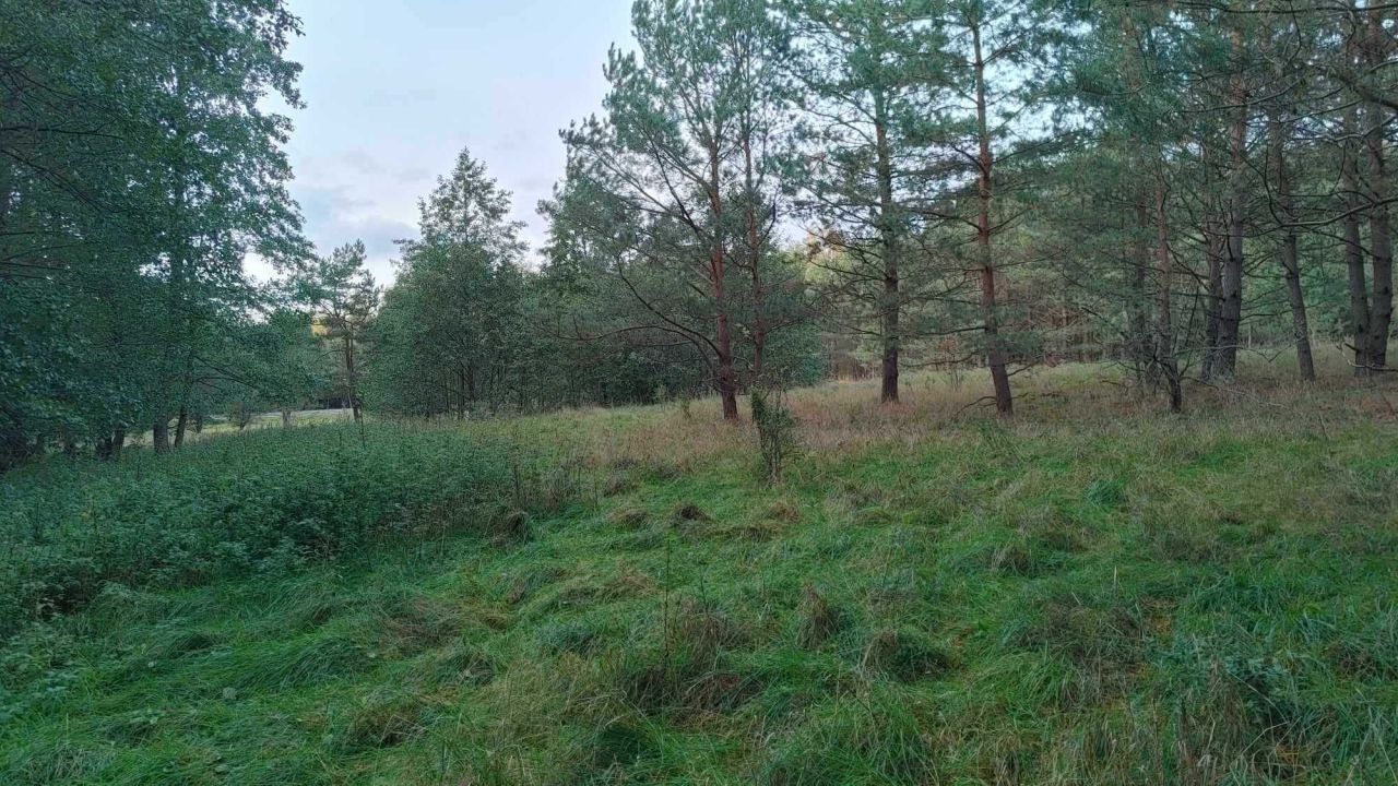 Działka rolno-budowlana Marksewo. Zdjęcie 4