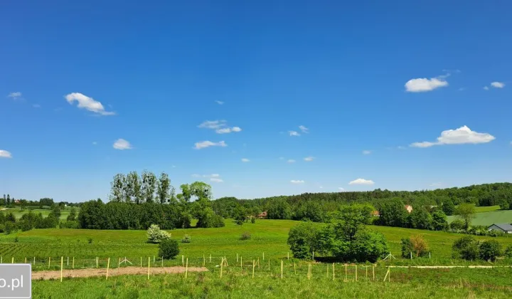 Działka budowlana Olszanka, ul. Wiśniowa