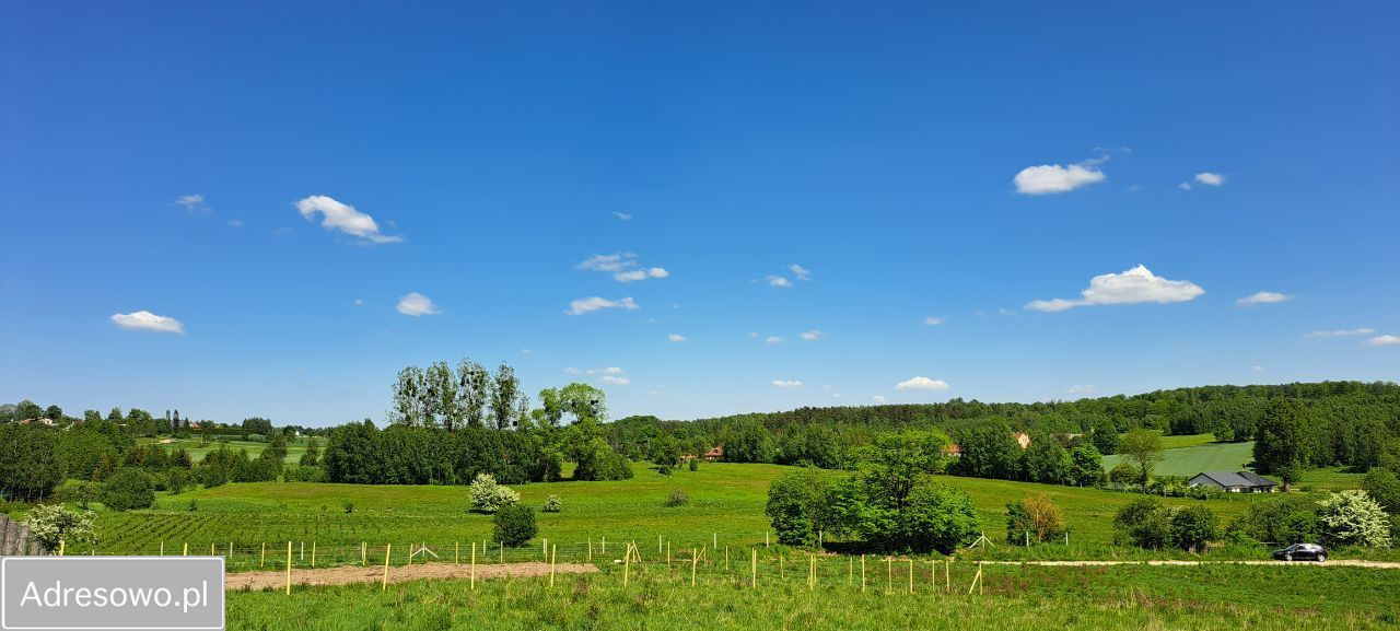 Działka budowlana Olszanka, ul. Wiśniowa