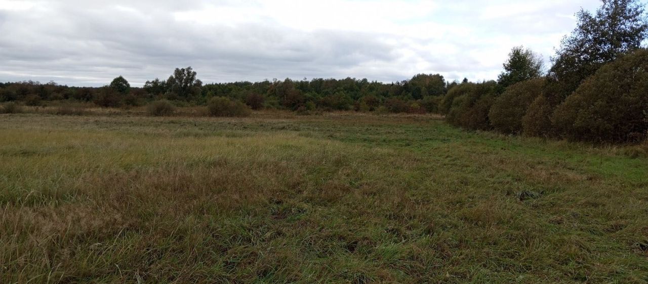 Działka rolna Bajory Wielkie. Zdjęcie 2