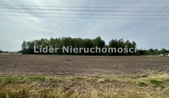 Działka budowlana Buczek, ul. Pieńki
