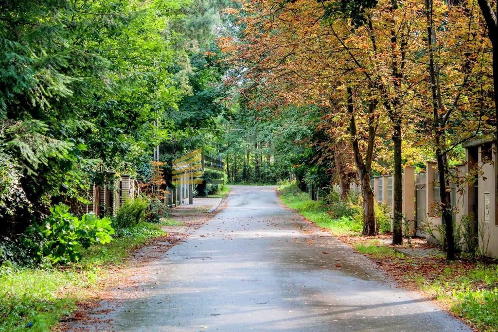 dom wolnostojący, 6 pokoi Konstancin-Jeziorna, ul. Pańska. Zdjęcie 9