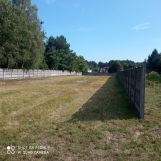 Działka budowlana Blok Dobryszyce, ul. Zielona. Zdjęcie 2
