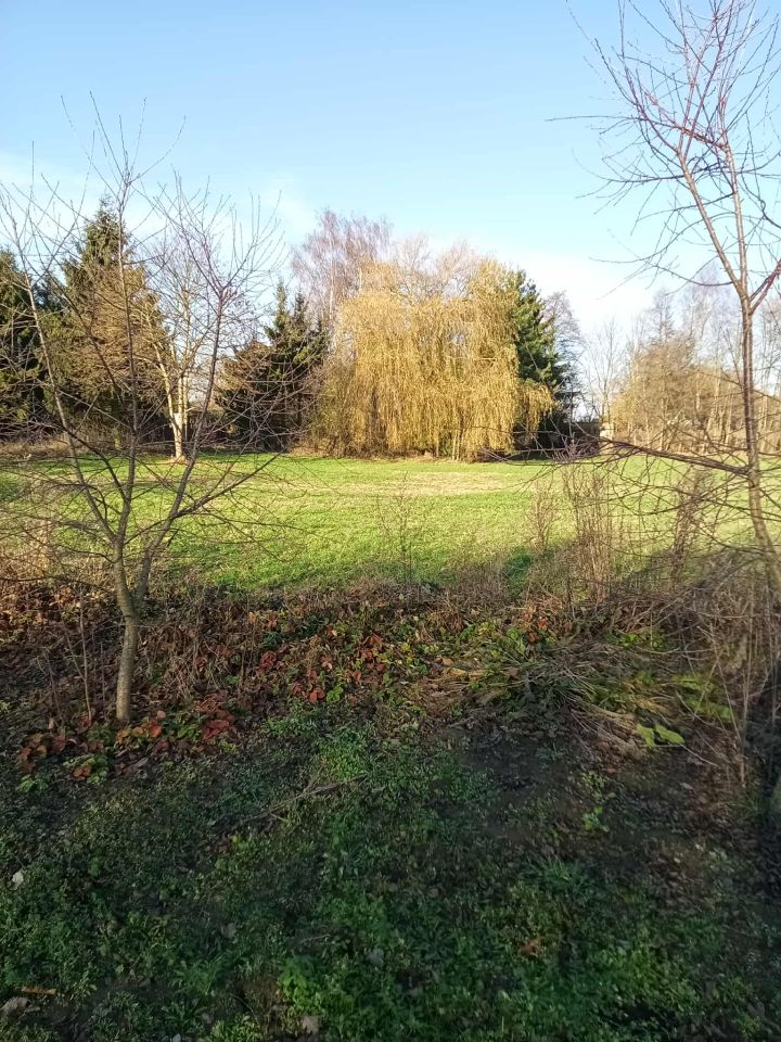 Działka budowlana Przybkowo. Zdjęcie 3