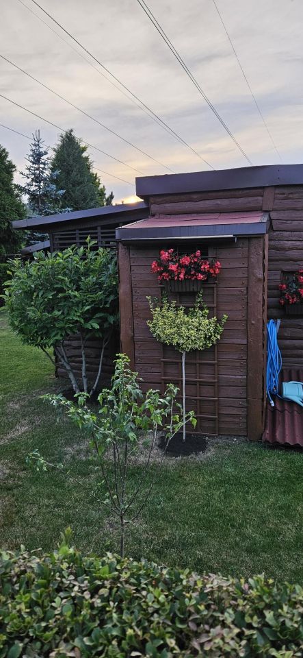 Działka rod Sosnowiec Niwka, ul. Portowa. Zdjęcie 25