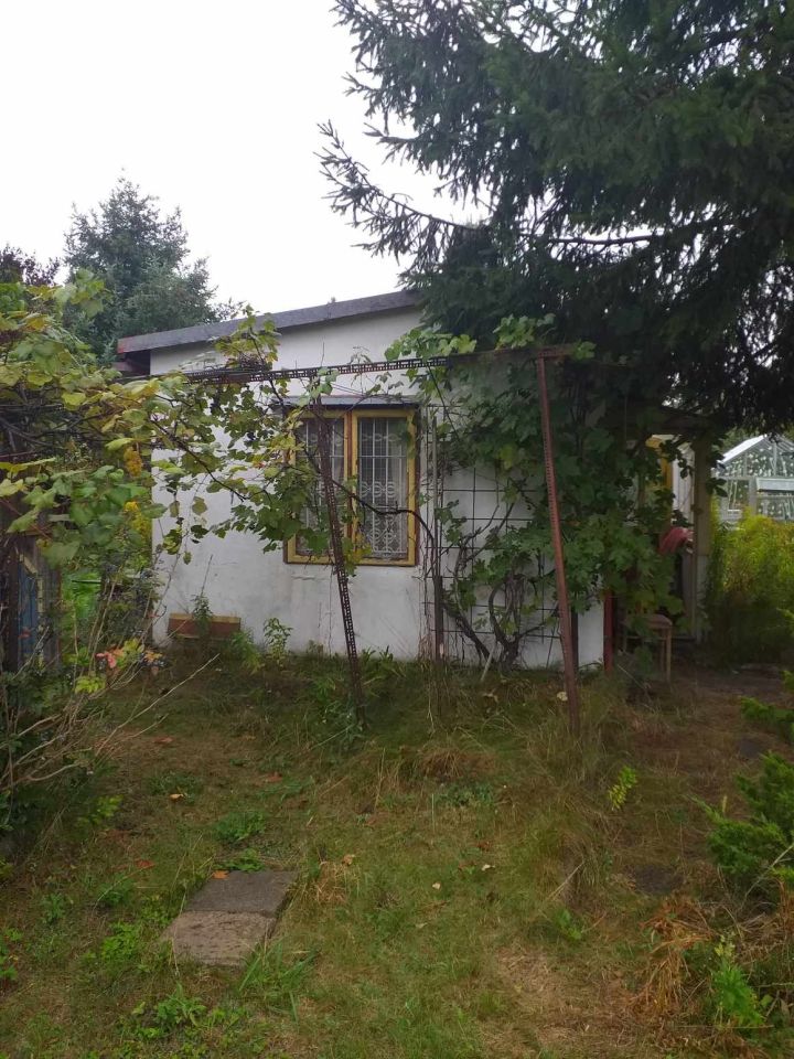 Działka rod Łódź Widzew, ul. Lodowa. Zdjęcie 48