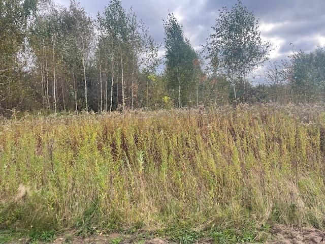 Działka budowlana Barcice Drwalewskie. Zdjęcie 7