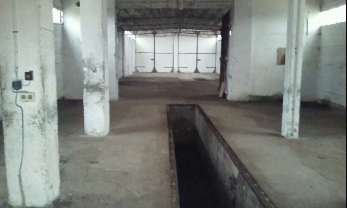 Działka inwestycyjna Morawy. Zdjęcie 5