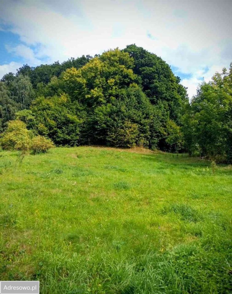 Działka budowlana Wilcza. Zdjęcie 3