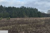 Działka rolno-budowlana Zarośle Cienkie. Zdjęcie 1