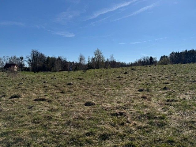 Działka rekreacyjna Stary Gieląd. Zdjęcie 11