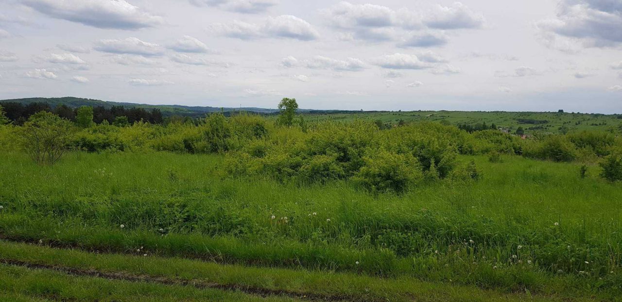 Działka rolno-budowlana Rodaki. Zdjęcie 3