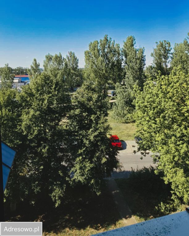 Mieszkanie 3-pokojowe Toruń Na Skarpie, ul. Olimpijska. Zdjęcie 13
