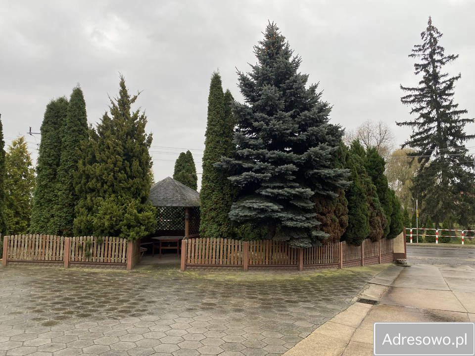 inny Rozdrażew. Zdjęcie 9