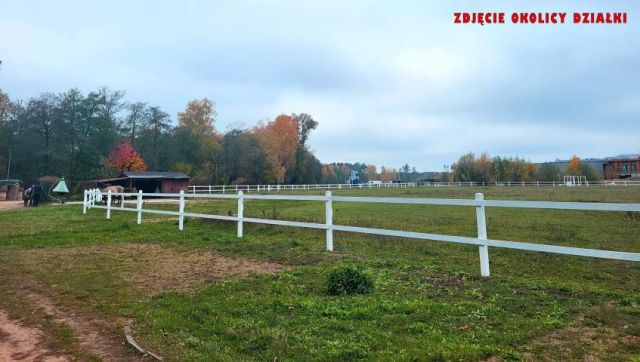 Działka leśna Kępa. Zdjęcie 12